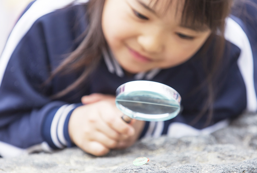 主体的な「探究学習」