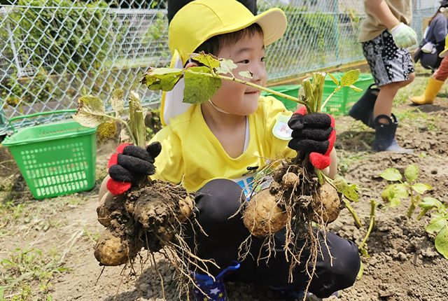 6月